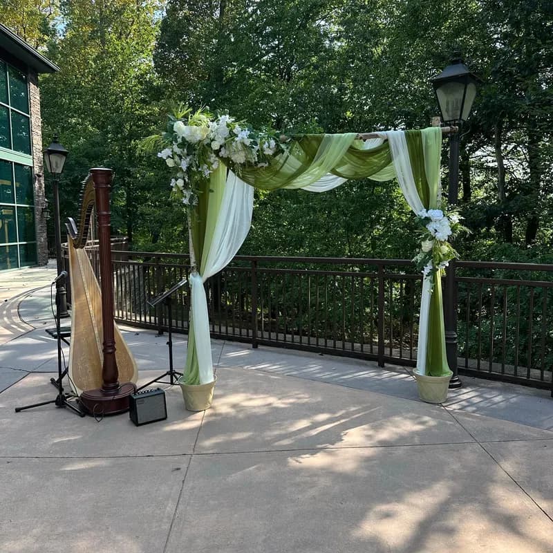Simple birch arch outdoor wedding